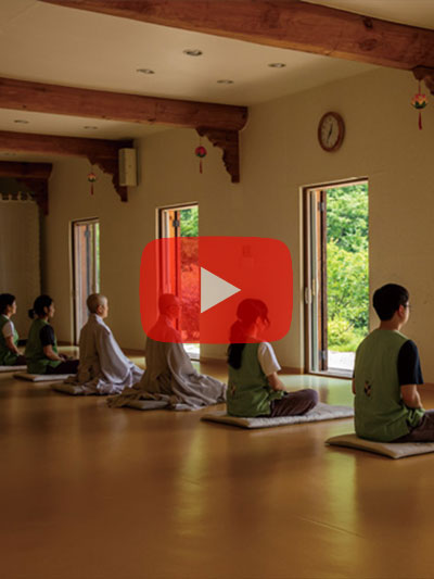 템플스테이 동영상