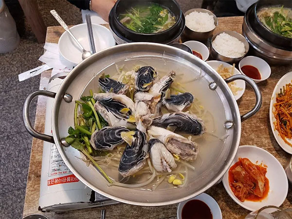 사하구 할매복집 대표 음식