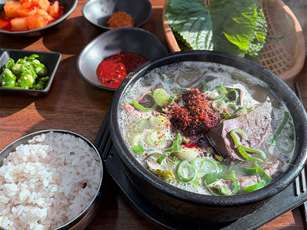 제주시 함덕골목 본점 대표 음식