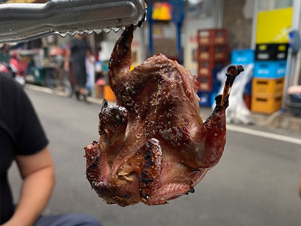 김천시 골목길식당 메추리