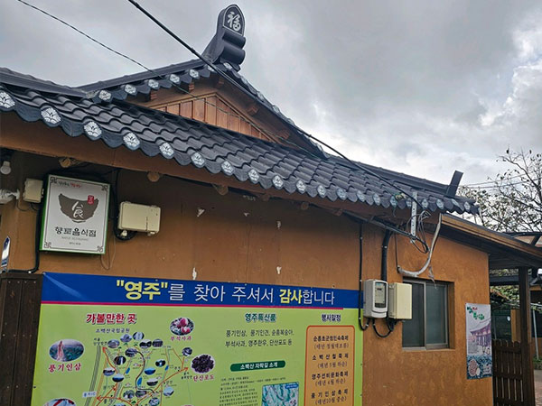 순흥전통묵집
