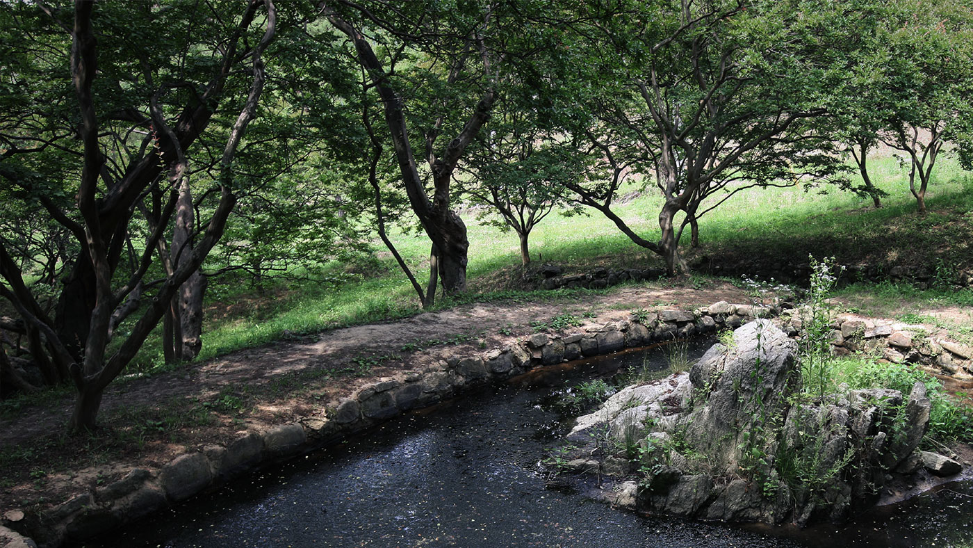 담양 명옥헌 원림 (潭陽 鳴玉軒 園林): 명승 제58호