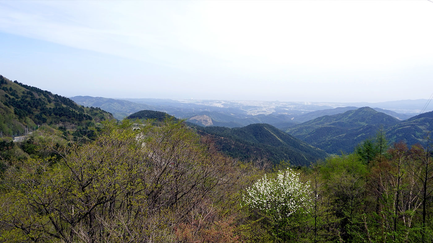 대관령 옛길 (大關嶺 옛길): 명승 제74호