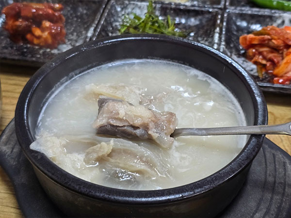 벌집식당 도가니탕