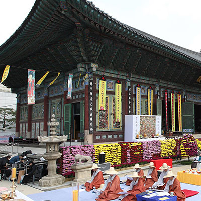 조계사: 800년 회화나무가 지켜본 조선 정승들의 지혜 조계사