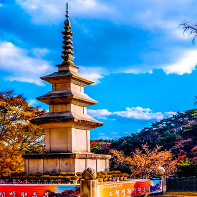 용문사: 1,100년 은행나무의 영험한 기운과 천년 고찰의 숨결, 세월을 이겨낸 치유의 성지