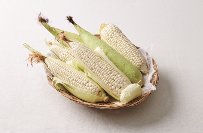 상세보기