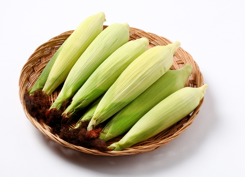 상세보기